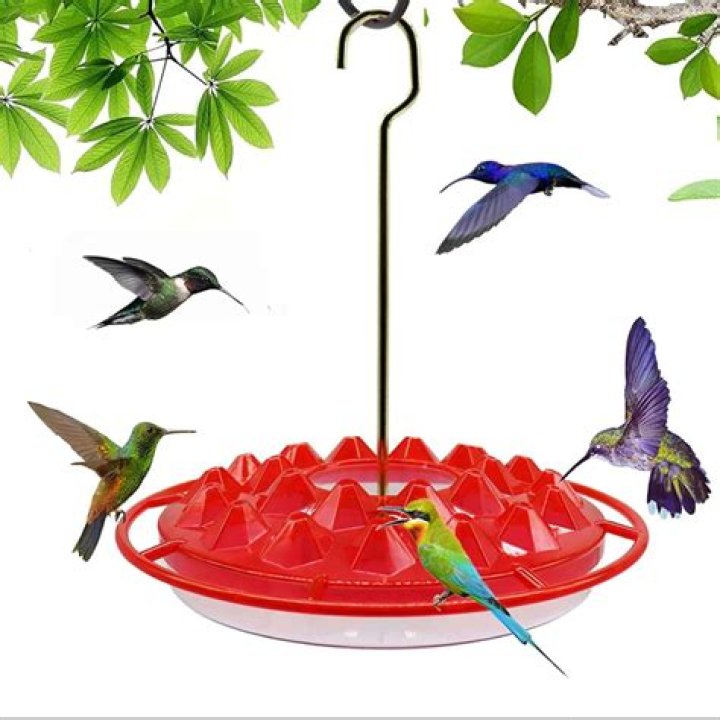 Do hummingbird feeders attract yellow jackets?