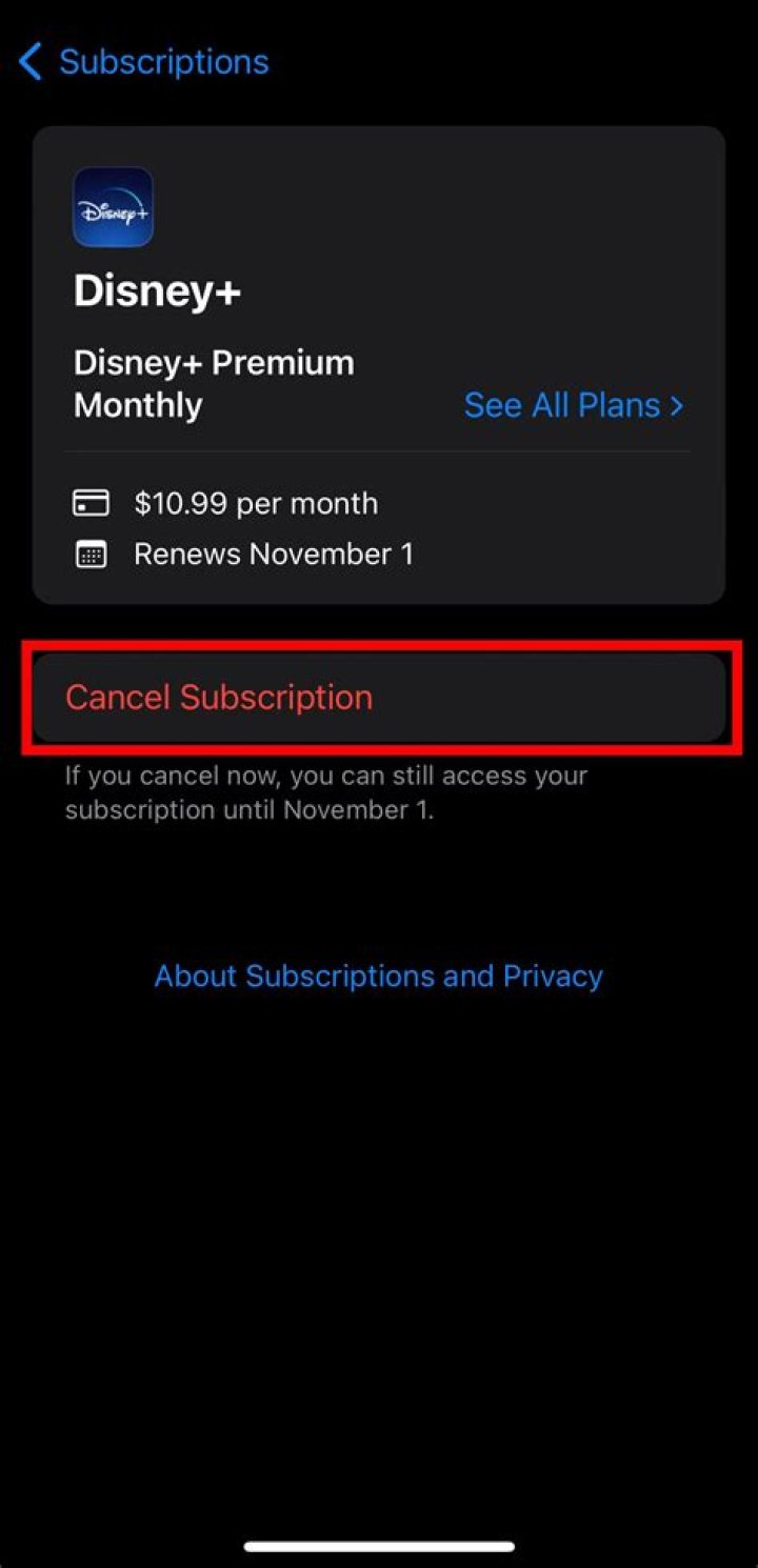 Do I need to cancel Disney Plus if I get the bundle?