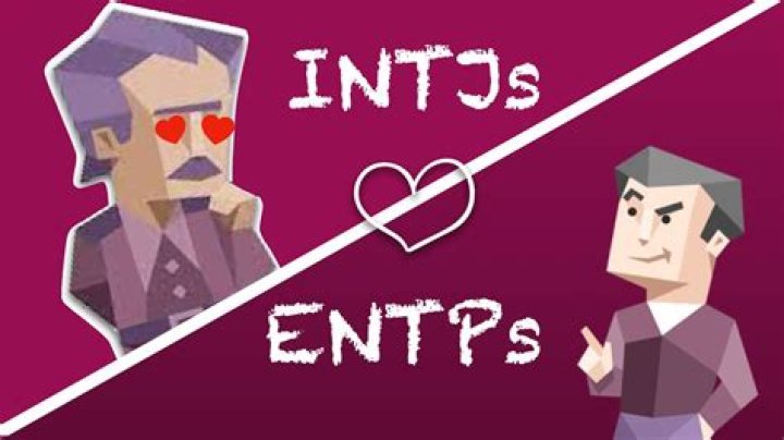 Do INTJs like conflict?