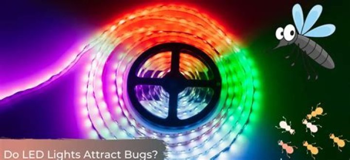 Do LED strip lights attract bugs?
