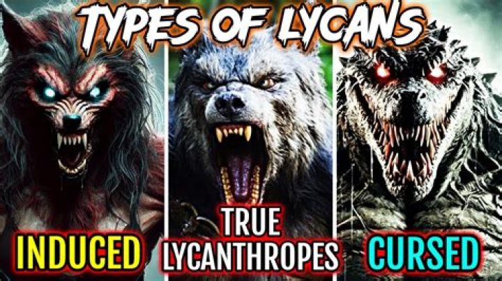 Do Lycans have mates?