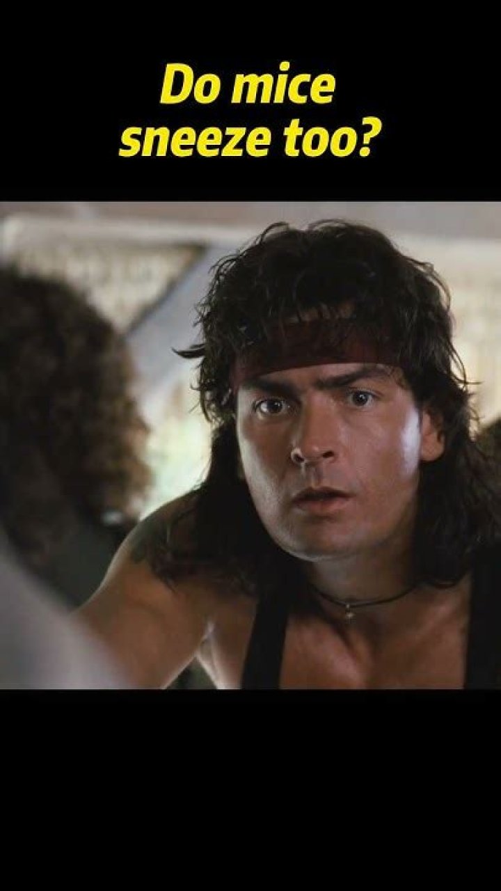 Do mice sneeze?