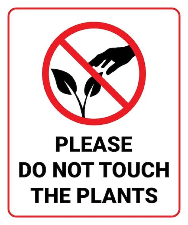 Do not touch the flowers Botw?