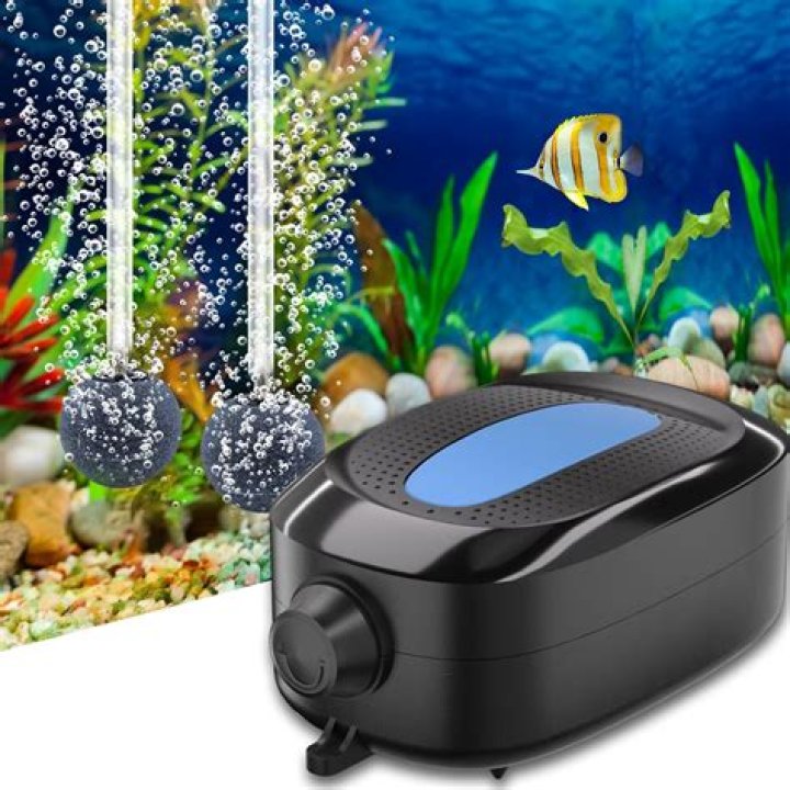 Do oscar fish need air pump?