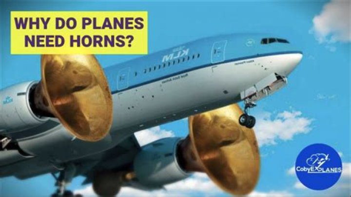 Do planes have horns?