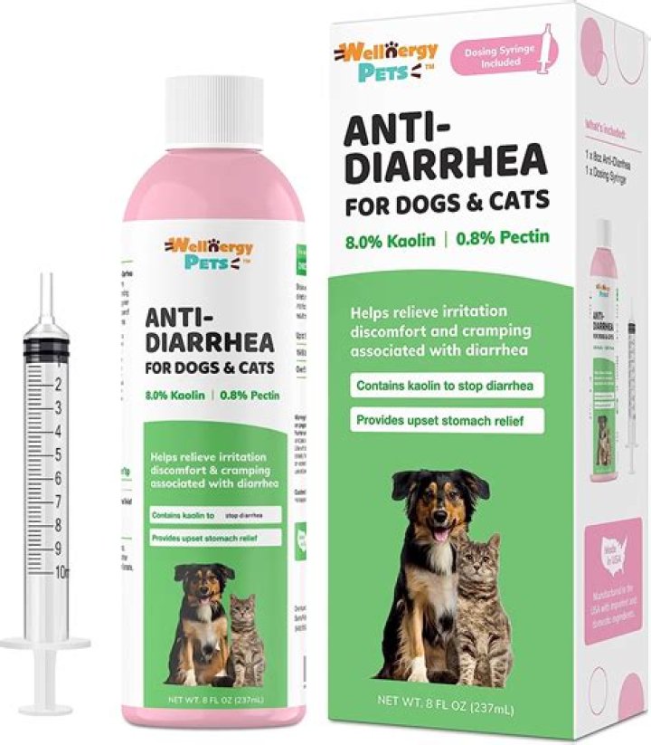 Do potatoes help dogs with diarrhea?