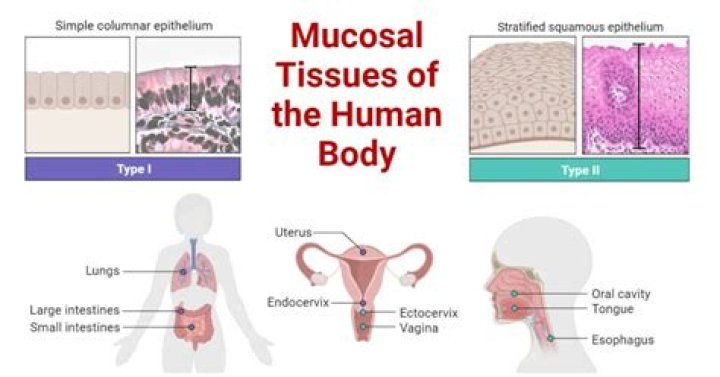 Do potatoes make mucus?