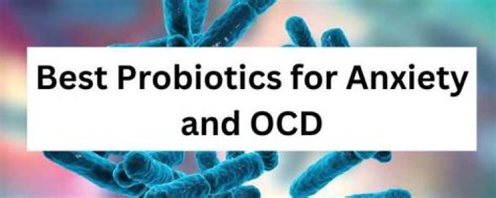 Do probiotics help anxiety?