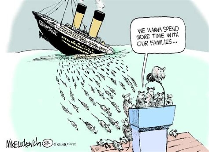 Do rats desert a sinking ship?
