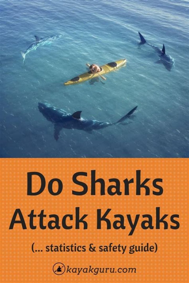 Do sharks mess with kayaks?