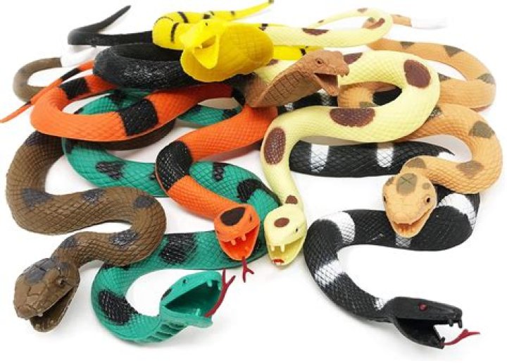 Do snakes like toys?