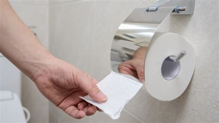 Do Swedes use toilet paper?