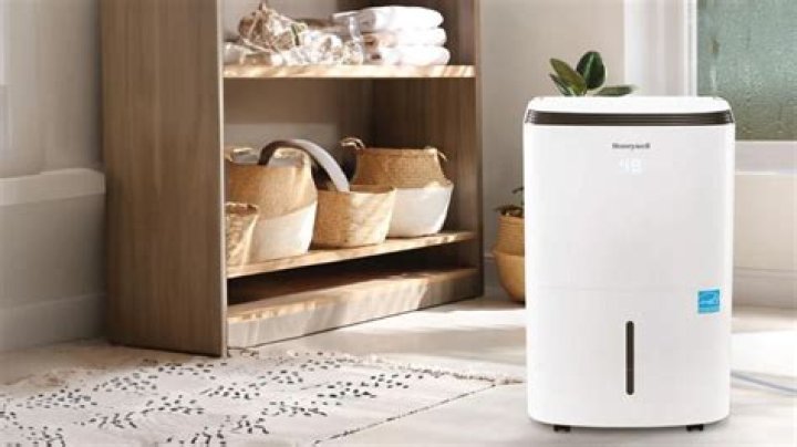 Do you need to run a dehumidifier in the winter?