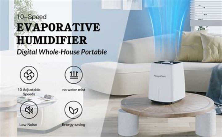 Do you need to use filtered water in a humidifier?