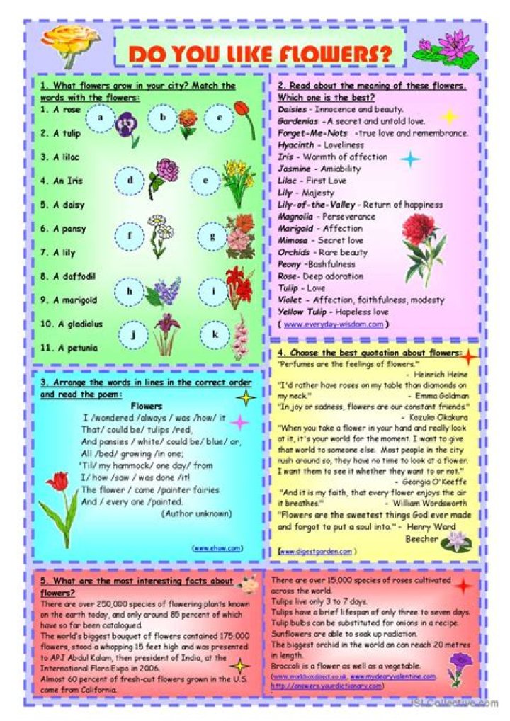 Do you think flowers are important?