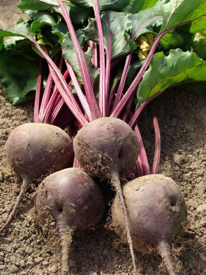 Do you use the whole beets when juicing?