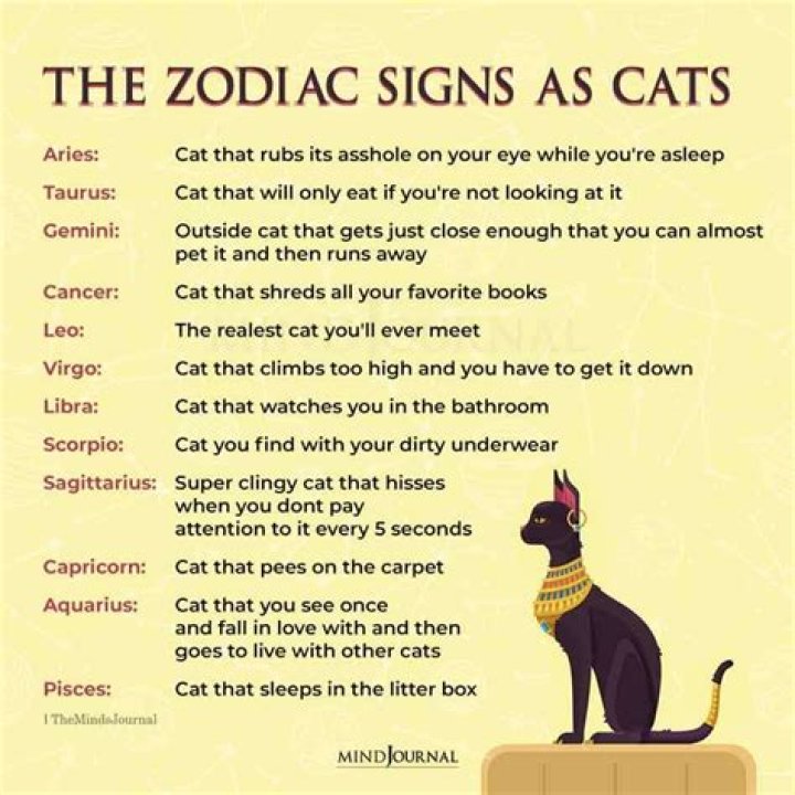 Do zodiac signs apply cats?