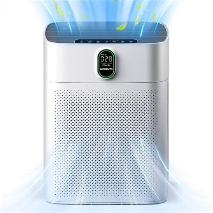 Does air purifier help asthma?