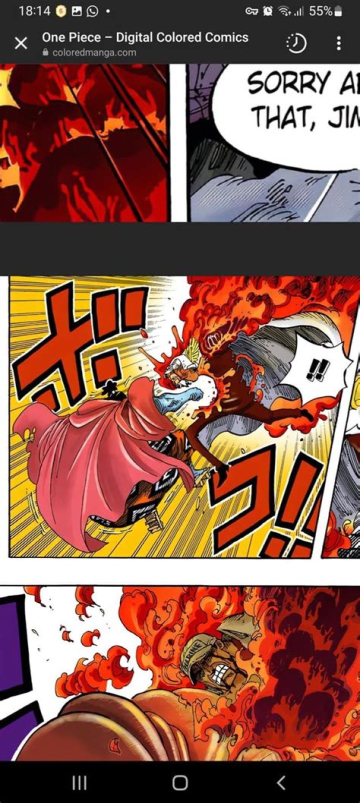 Does akainu have Haki?