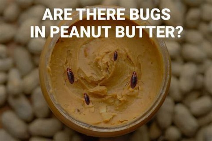 Does almond butter have bugs?