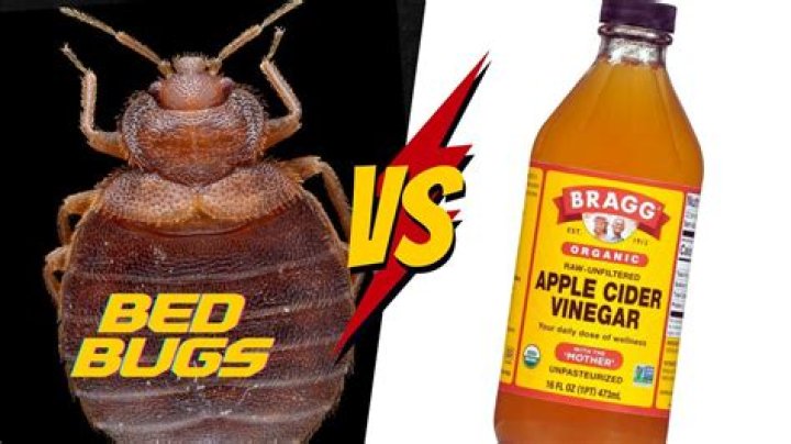 Does apple cider vinegar repel bugs?