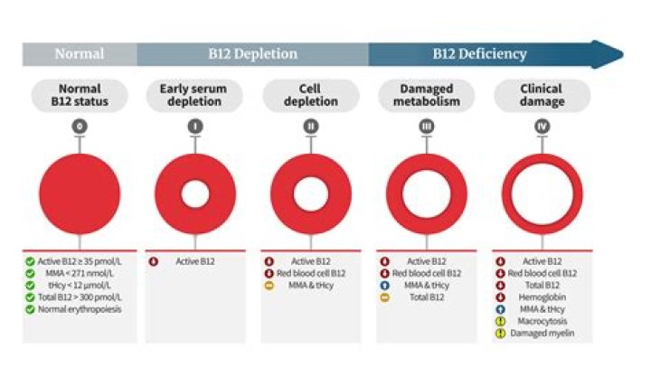 Does B12 affect iron levels?