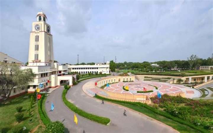 Does BITS Pilani have 100% placement?
