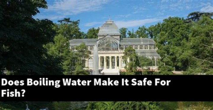 Does boiling water make it safe for fish?