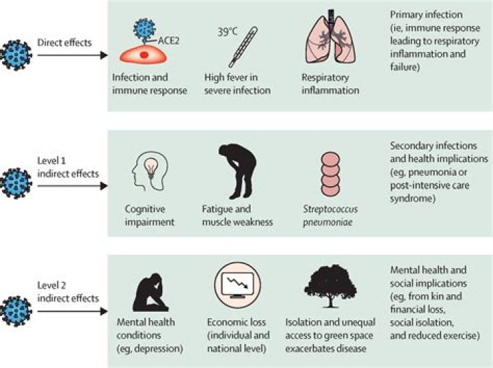Does Covid affect the liver and spleen?