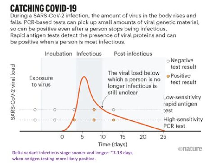 Does Delta require Covid testing?