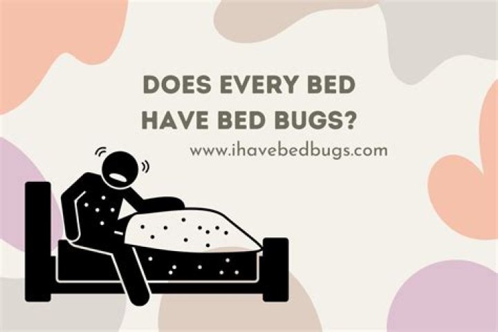 Does every bed have bed bugs?