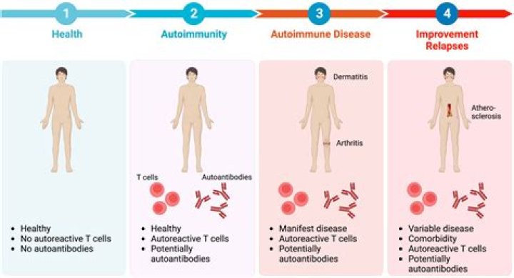 Does exercise help autoimmune disease?