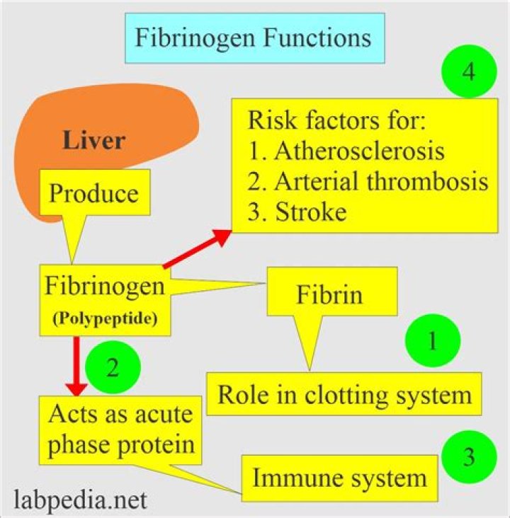 Does fibrin cause arthritis?