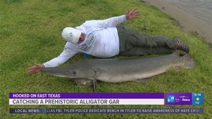 Does Gar ever turn into other animals?