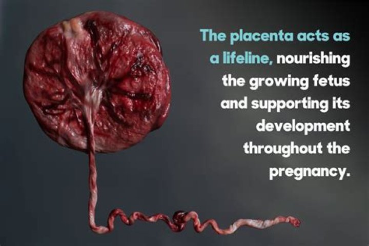 Does giving birth to placenta hurt?