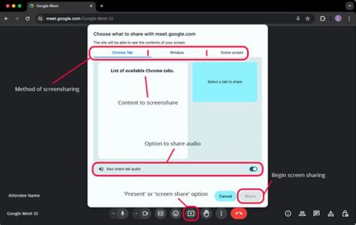 Does Google Meet video or audio?