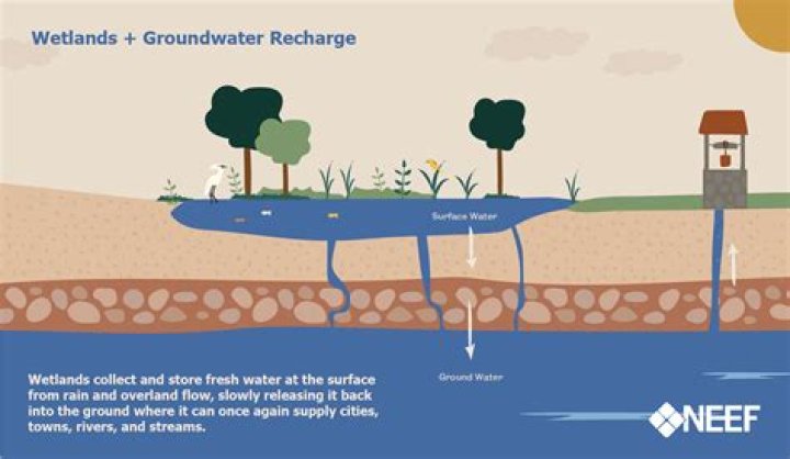 Does groundwater come from rain?
