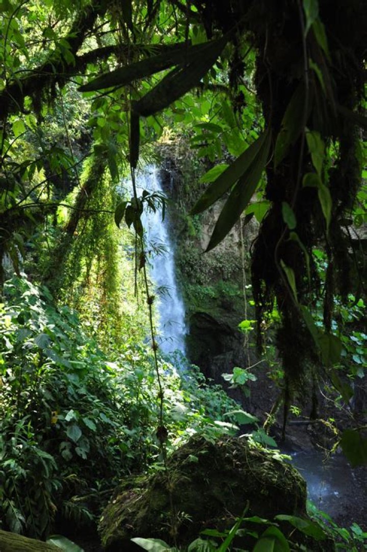 Does it rain in March in Costa Rica?