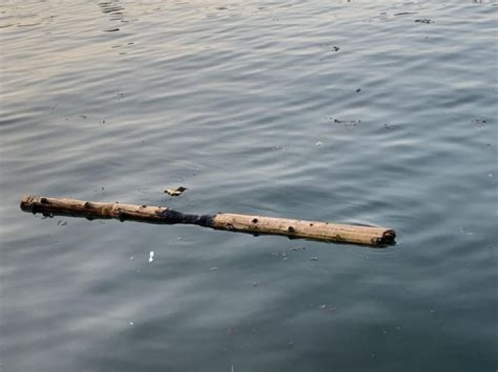 Does mango wood float?