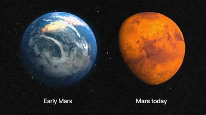 Does Mars have eggs?