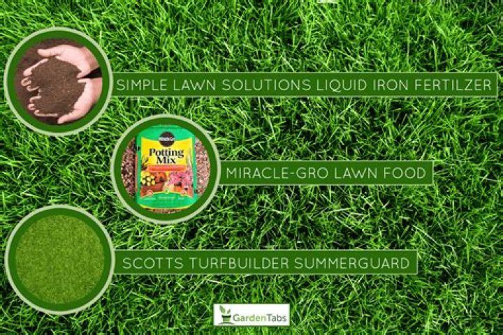 Does nitrogen make grass greener?