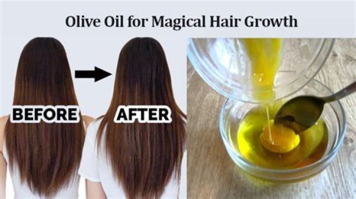 Does olive oil regrow hair?