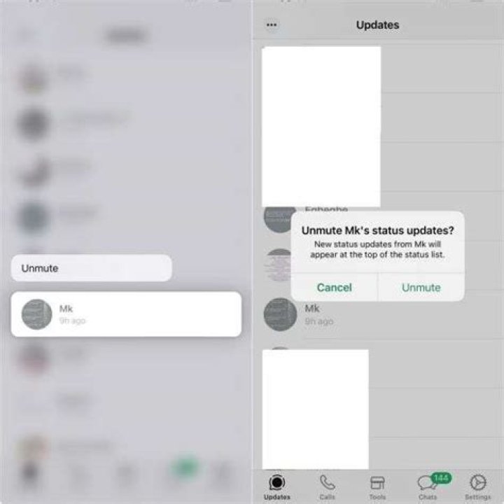 Does one grey tick mean im muted on WhatsApp?
