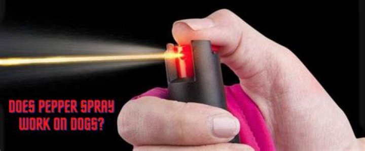 Does pepper spray work on coyotes?