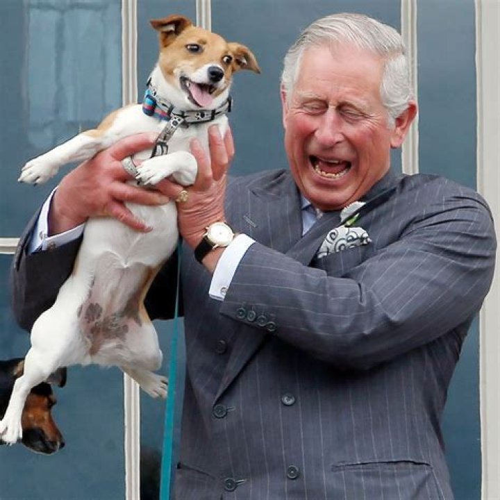 Does Prince Charles have a dog?