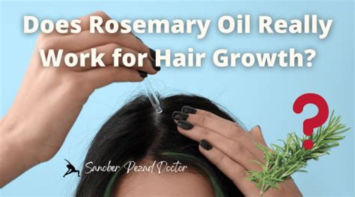 Does rosemary oil grow hair back?