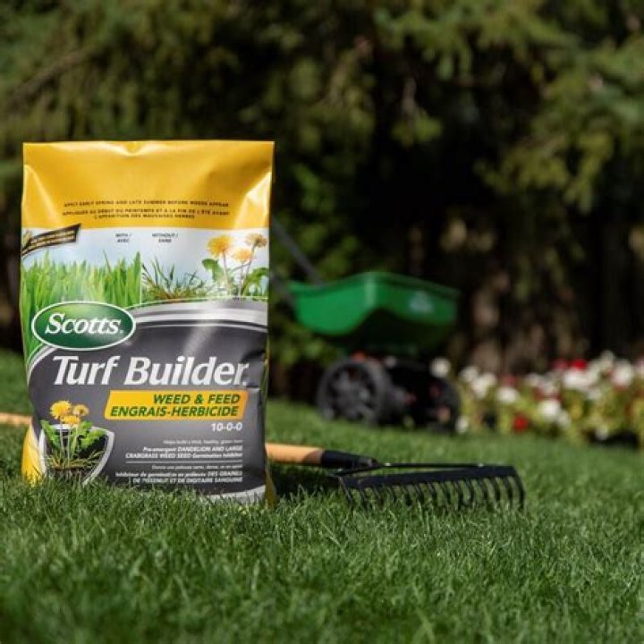 Does Scotts Turf Builder actually work?