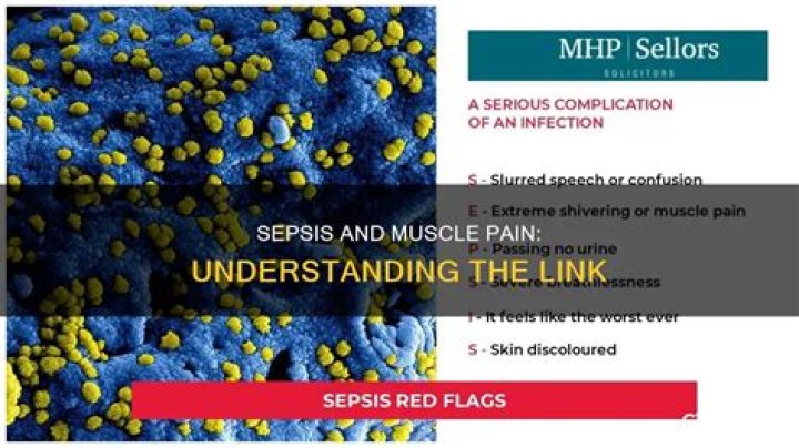Does sepsis cause muscle pain?