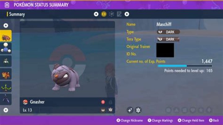 Does shellac have a shiny finish?