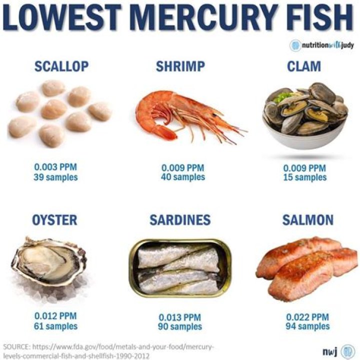 Does shrimp have mercury?
